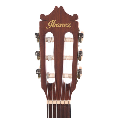 Ibanez GA2OAM Acoustic Guitar Open Pore Amber