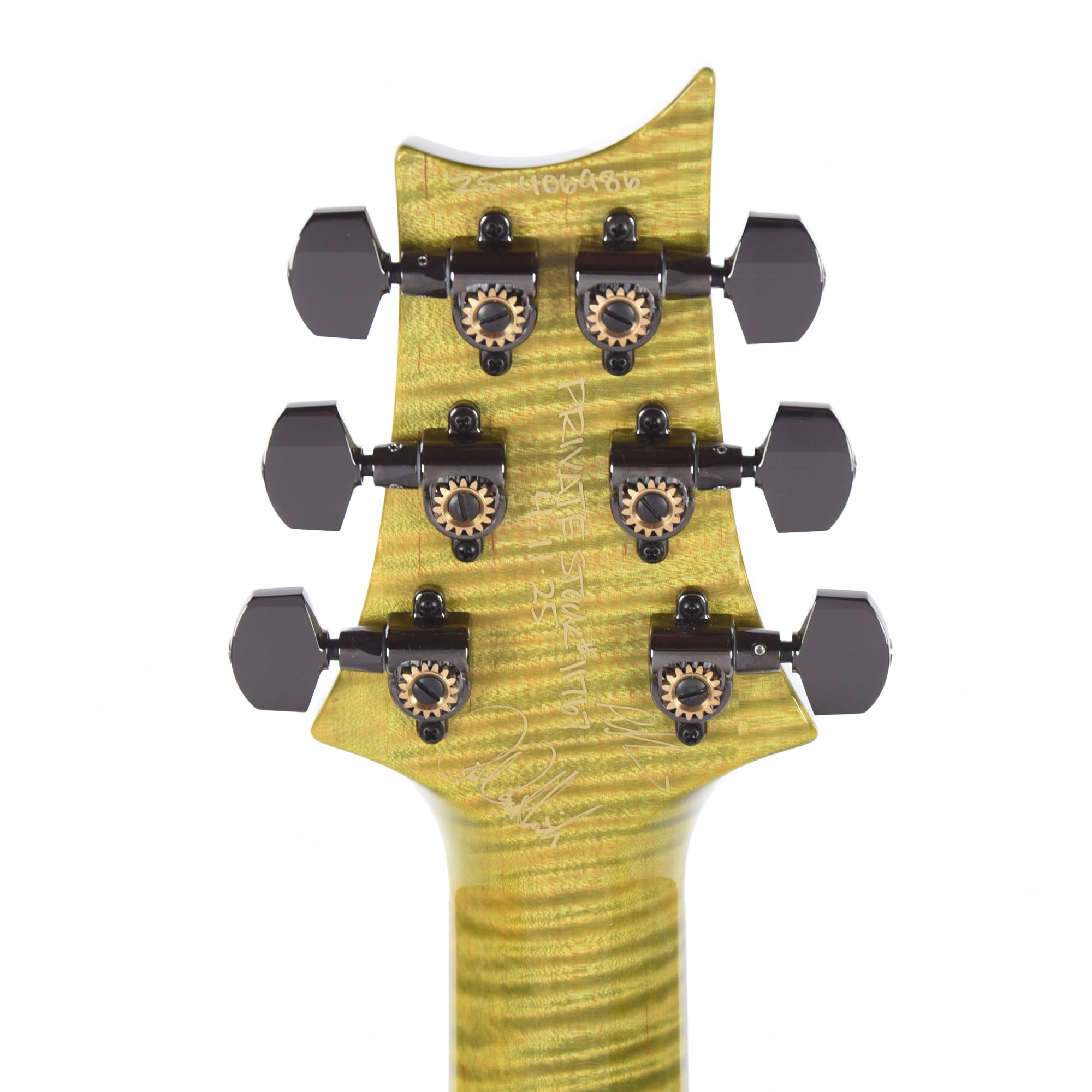 PRS Private Stock #11767 Paul's Guitar Curly Maple/African Mahogany Rainforest Glow w/Stained Neck/Fingerboard & Birds of a Feather Inlay