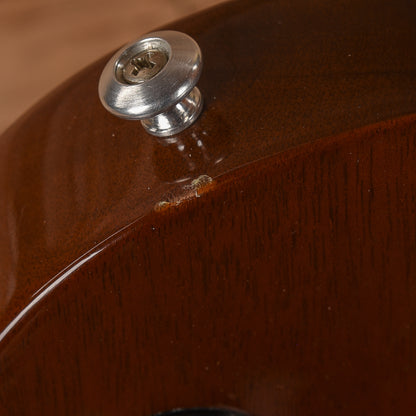 Gibson Les Paul Special Brown 2019