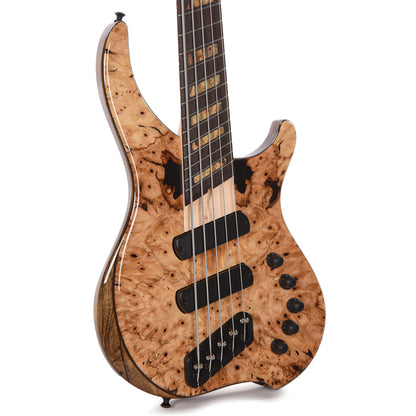 Dingwall Custom Afterburner I 5-String Buckeye Burl/Black Limba Natural w/Darkglass Preamp