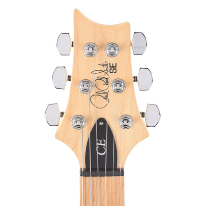 PRS SE Swamp Ash Special Charcoal