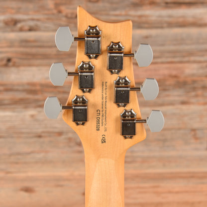 PRS SE Silver Sky Ever Green 2021