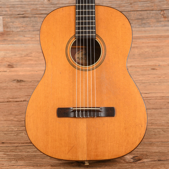 Regal Estudiante Natural