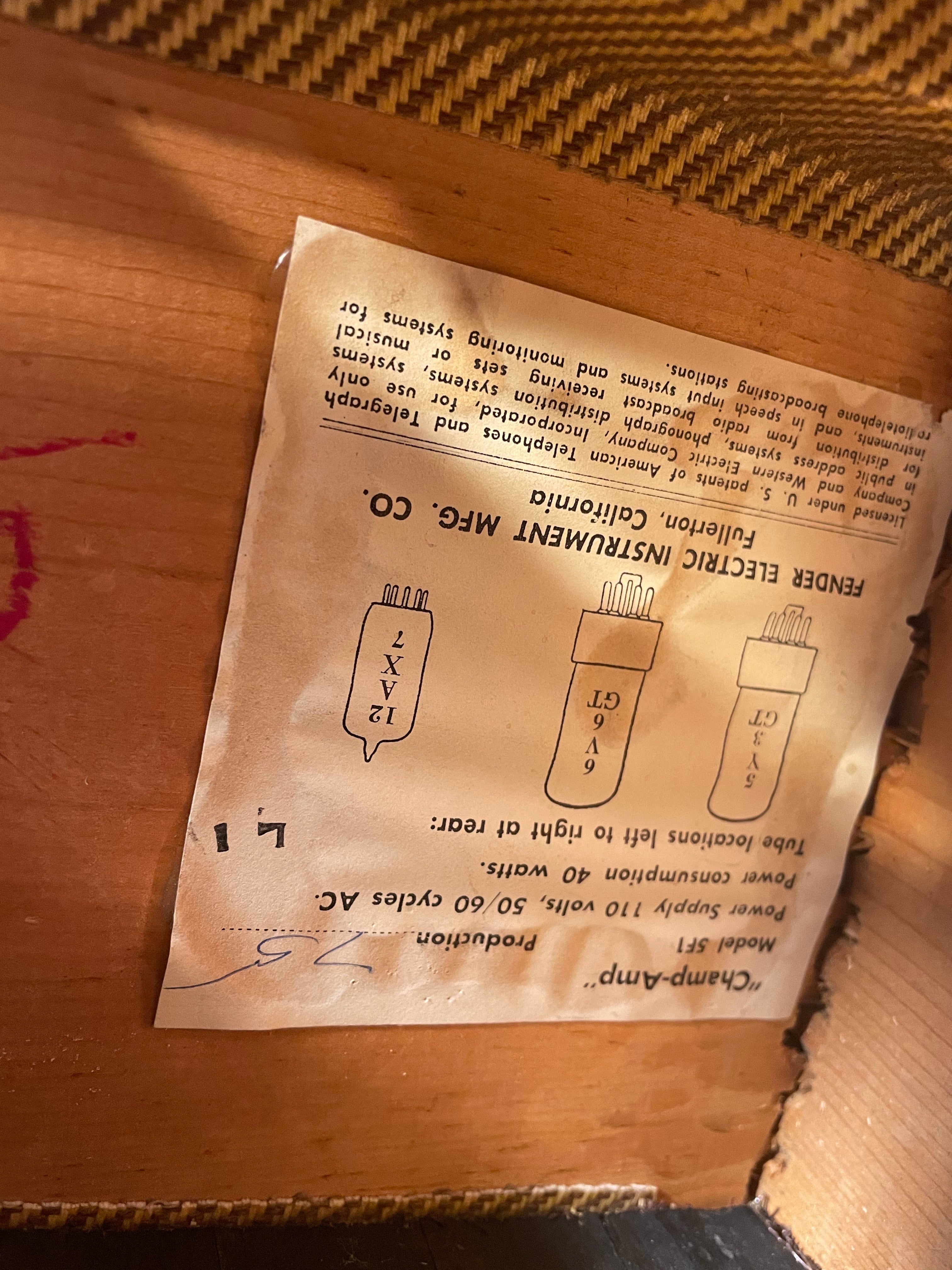 Fender Champ 5F1  1962