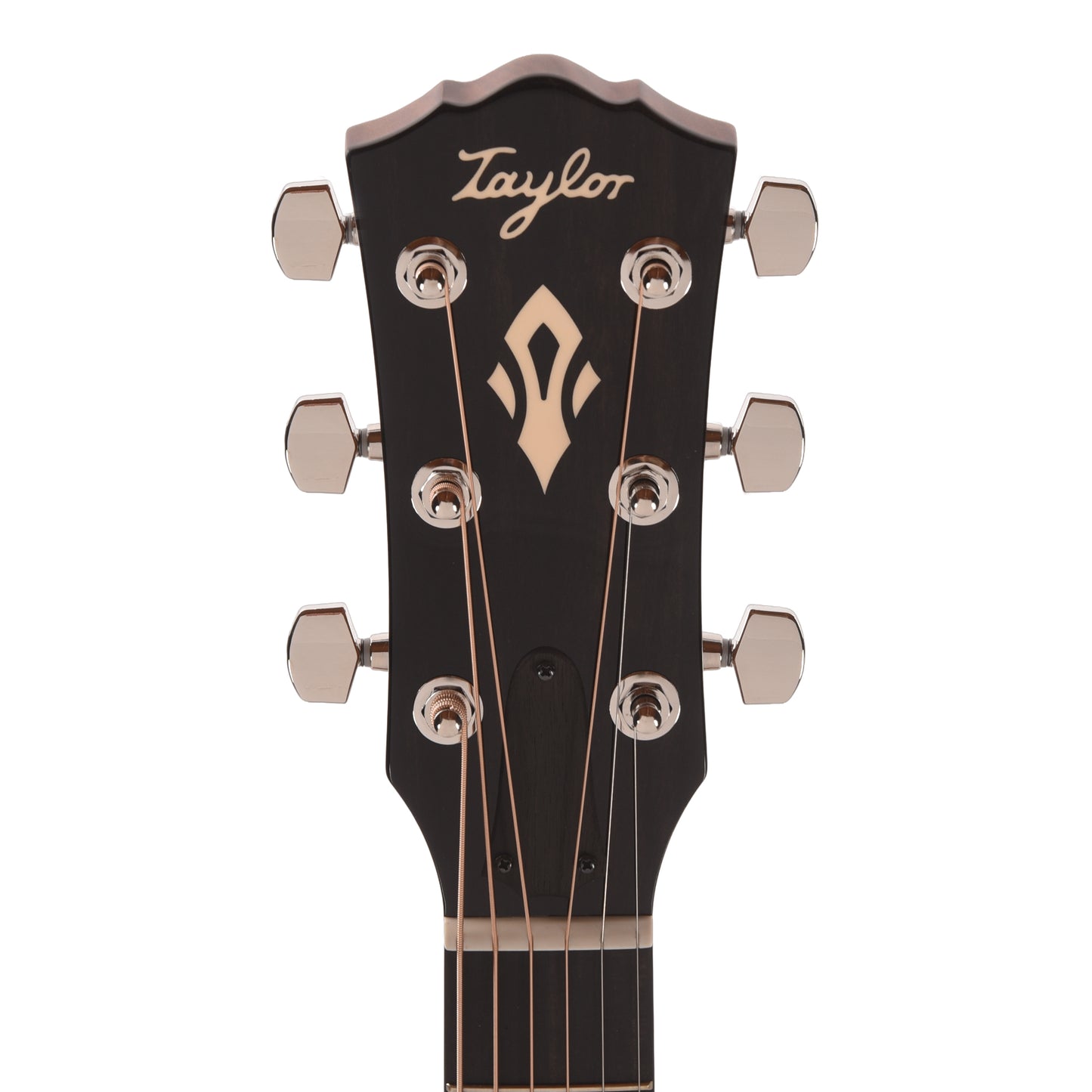Taylor Gold Label 514e Super Auditorium Torrefied Spruce/Mahogany Sunburst w/Firestripe Pickguard & L.R. Baggs VTC