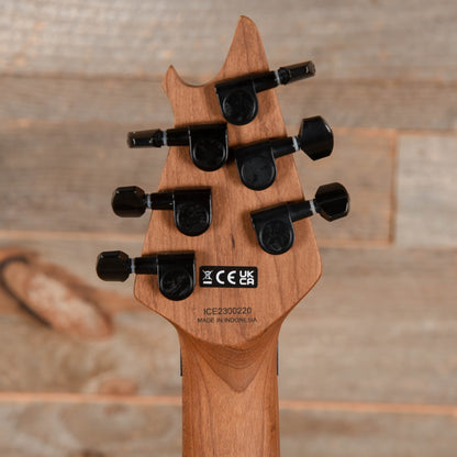 EVH Wolfgang WG Standard Battleship Gray