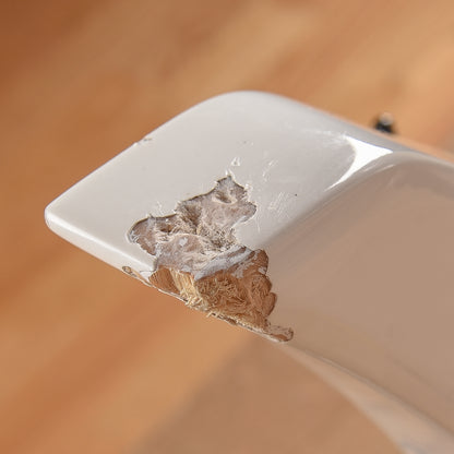 Jackson JS Series JS32 Kelly Snow White 2022