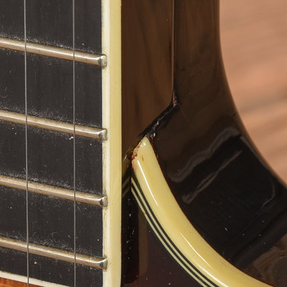 Gold Tone EBM-5 ELectric Banjo