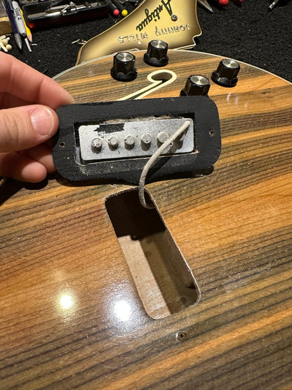 Fender Coronado II Wildwood/Antigua 1967