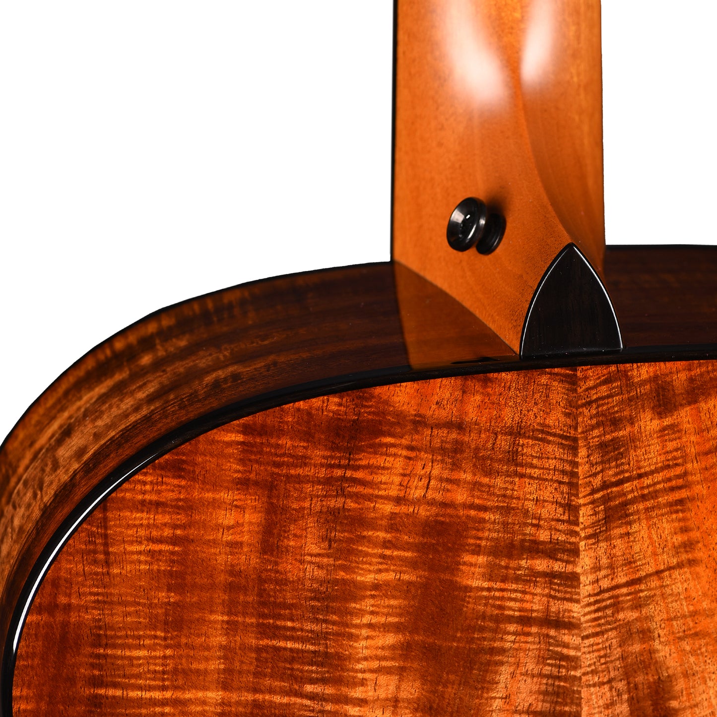 Taylor Custom Grand Concert 12-Fret Tasmanian Blackwood Antique Blonde w/Engraved Twist & Ocean Vine Inlays