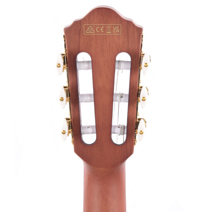 Ibanez FRH10NRGF Acoustic-Electric Guitar Rose Gold Metallic Flat