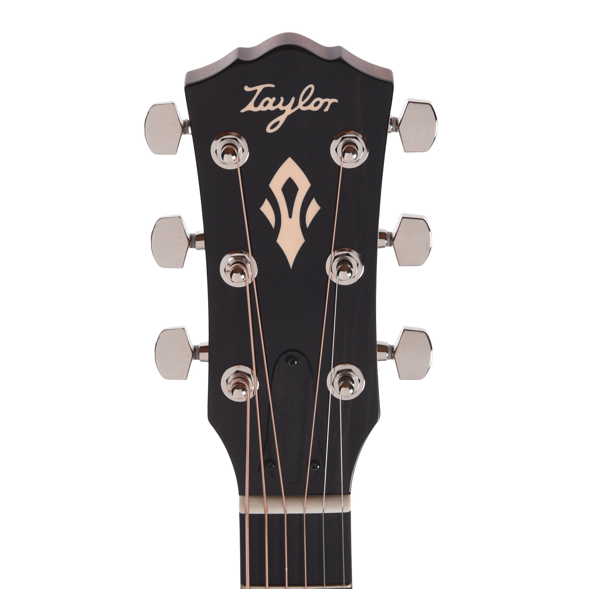 Taylor Gold Label 517e Grand Pacific Torrefied Sitka/Neo-Tropical Mahogany w/L.R. Baggs VTC