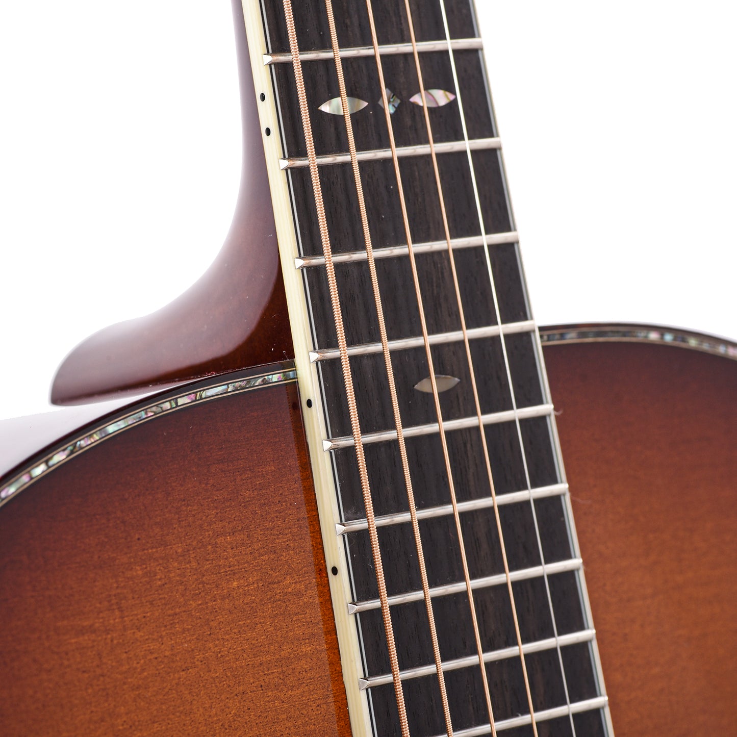 Santa Cruz F Model Bearclaw German Spruce/Flamed Maple Full Body Sunburst