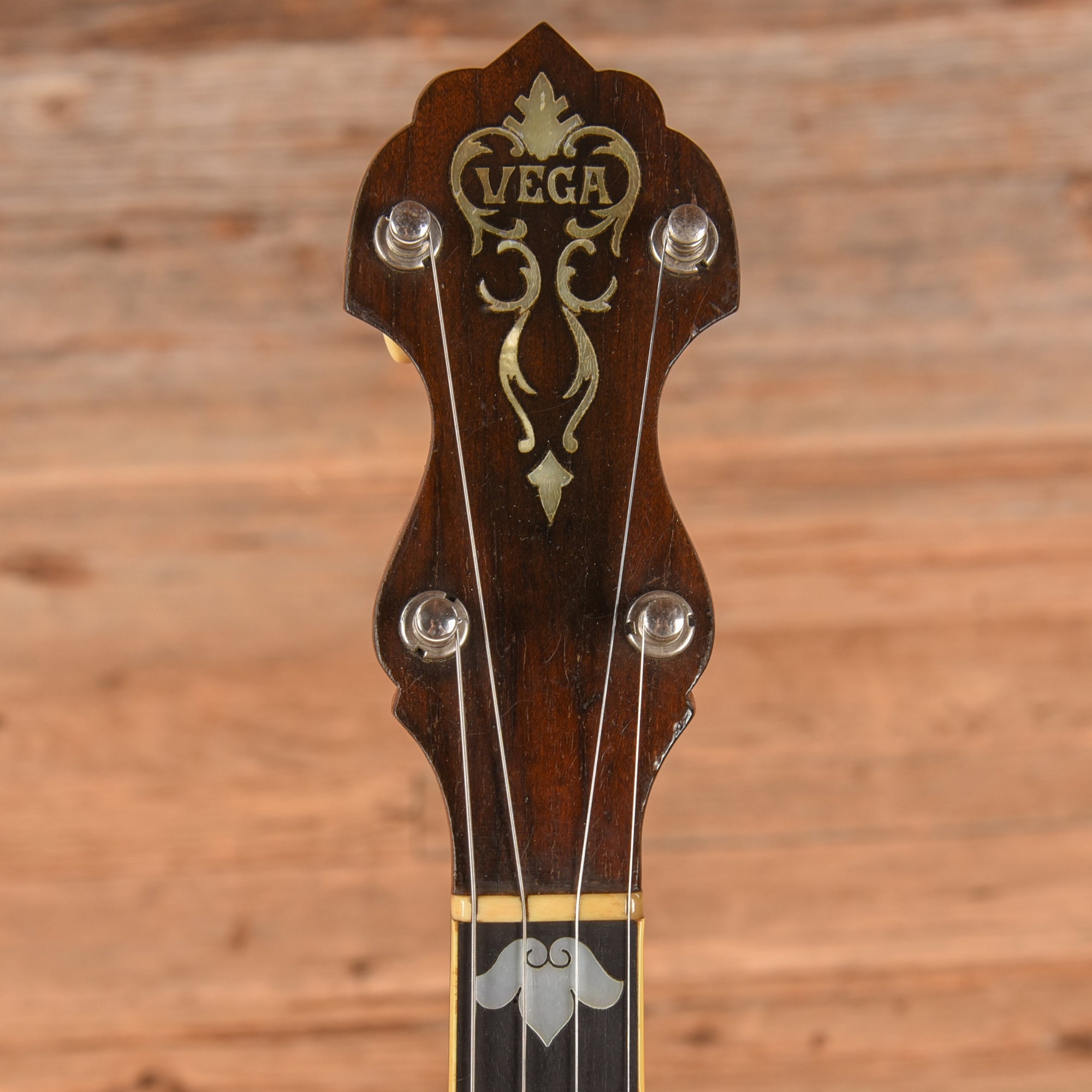 Vega Style M Tenor Banjo  1910