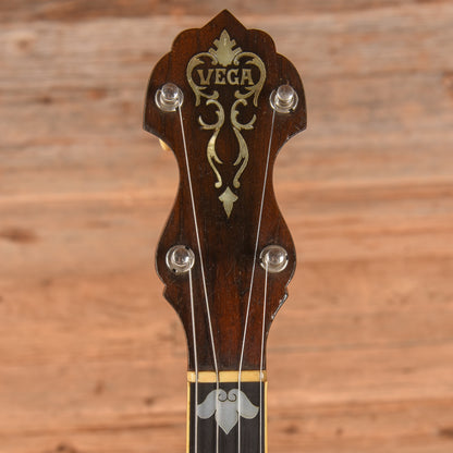 Vega Style M Tenor Banjo  1910