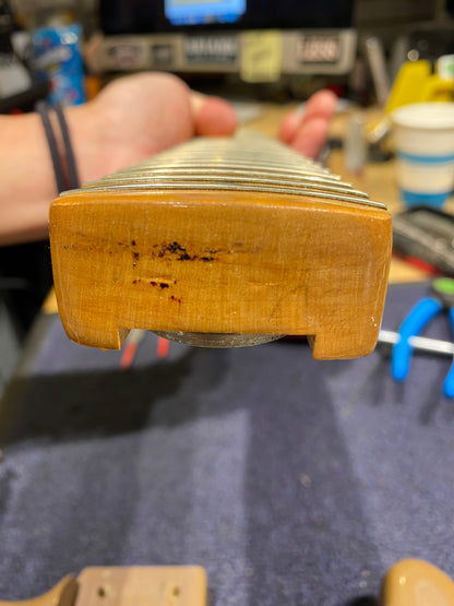 Fender International Series Stratocaster Hardtail Sahara Toupe 1981