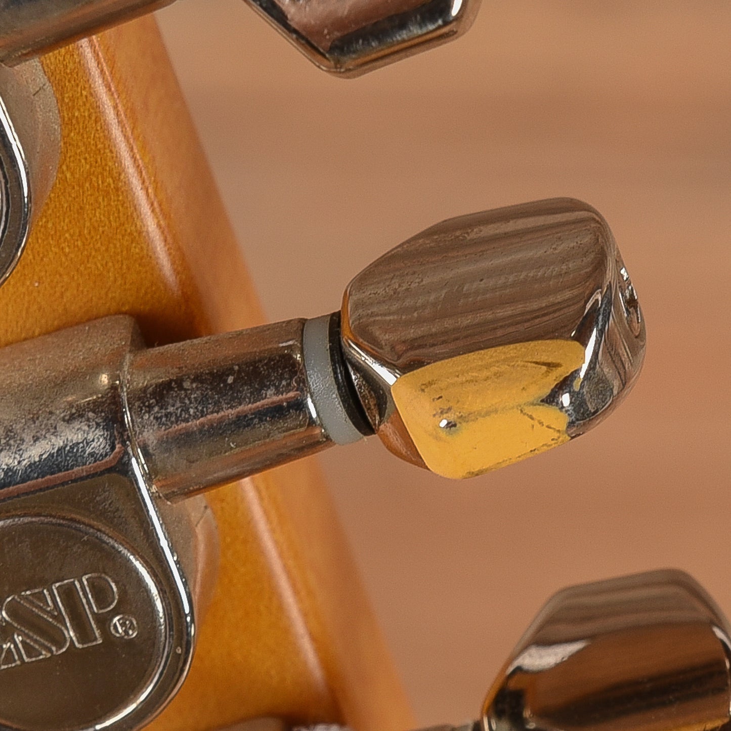 LTD TE-202 Satin Black 2011