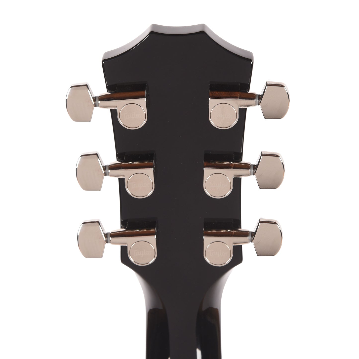 Taylor T5z Pro Figured Big Leaf Maple Harbor Blue