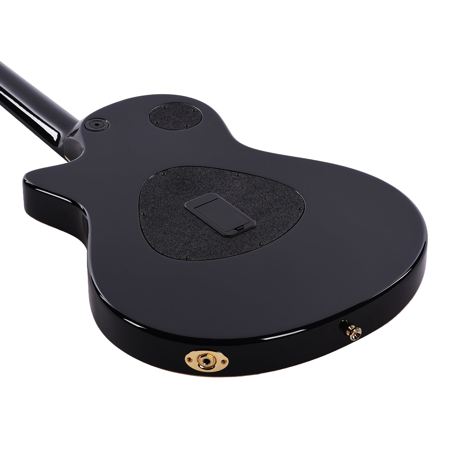 Taylor Custom "The Catch" #27 NAMM 2025 T5z Figured Maple/Urban Ash Antique Blond w/Black Back