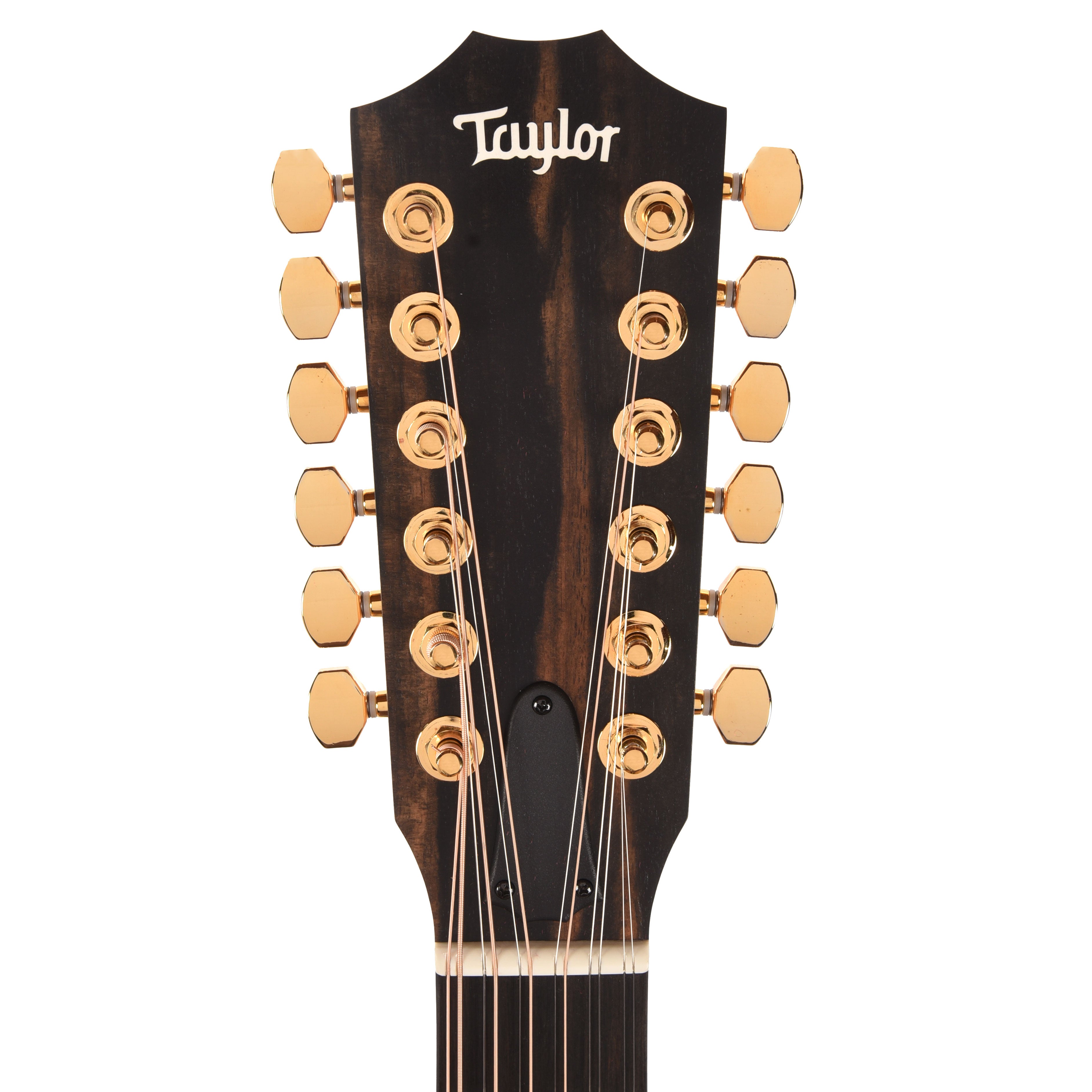 Taylor 264ce-K Deluxe 12-String Grand Auditorium Hawaiian Koa ES2