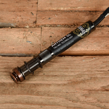 LR Baggs Anthem SL Acoustic Microphone/Preamp System