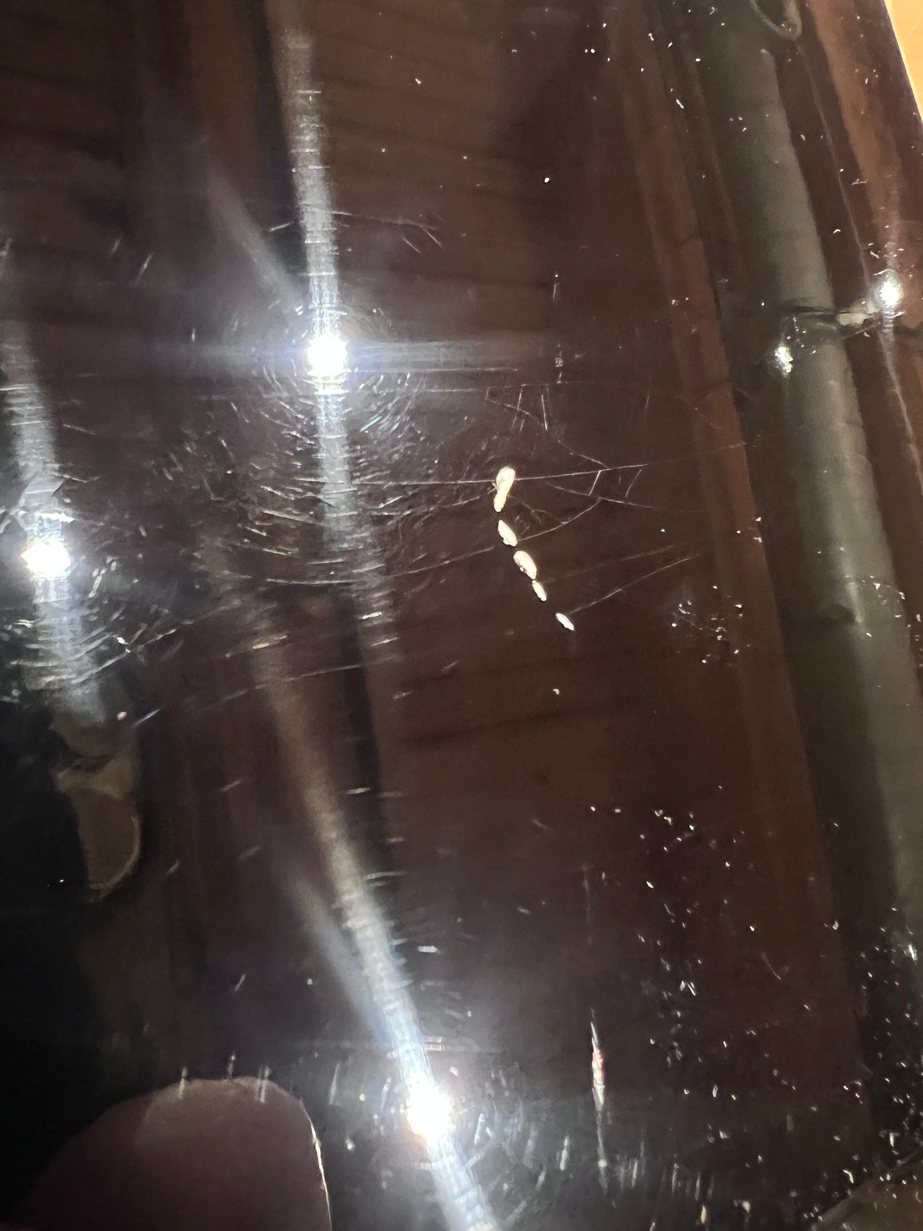 Atkin The Forty Three Black Pearl Baked Sitka/Maple Aged Black