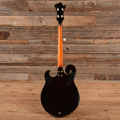 Gold Tone EBM-5 ELectric Banjo