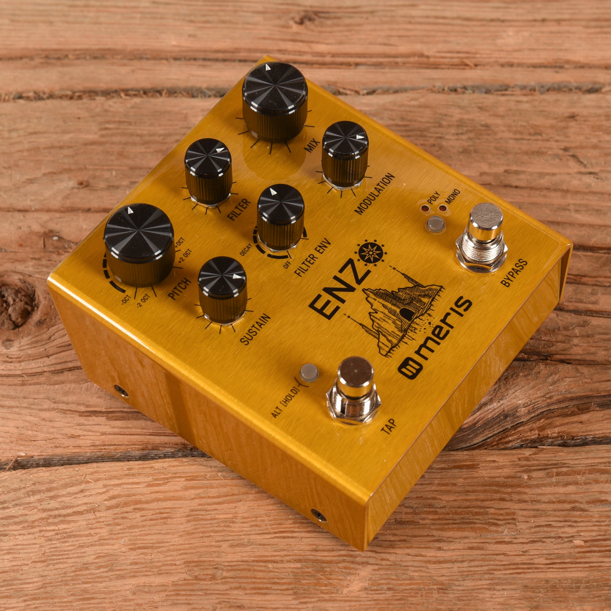 meris guitar pedals Meris Enzo Multi Voice Instrument Synthesizer Pedal