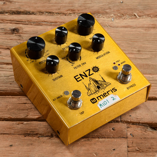 Meris Enzo Effects and Pedals / Guitar Synths