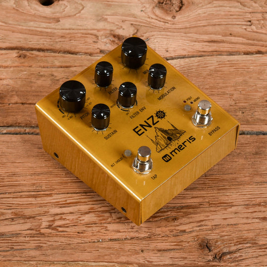 Meris Enzo Effects and Pedals / Guitar Synths
