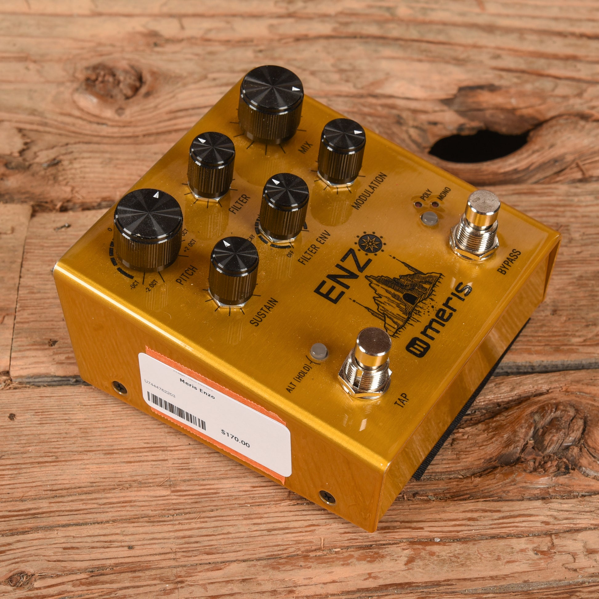 Meris Enzo Effects and Pedals / Guitar Synths