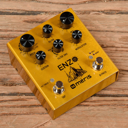 Meris Enzo Effects and Pedals / Guitar Synths