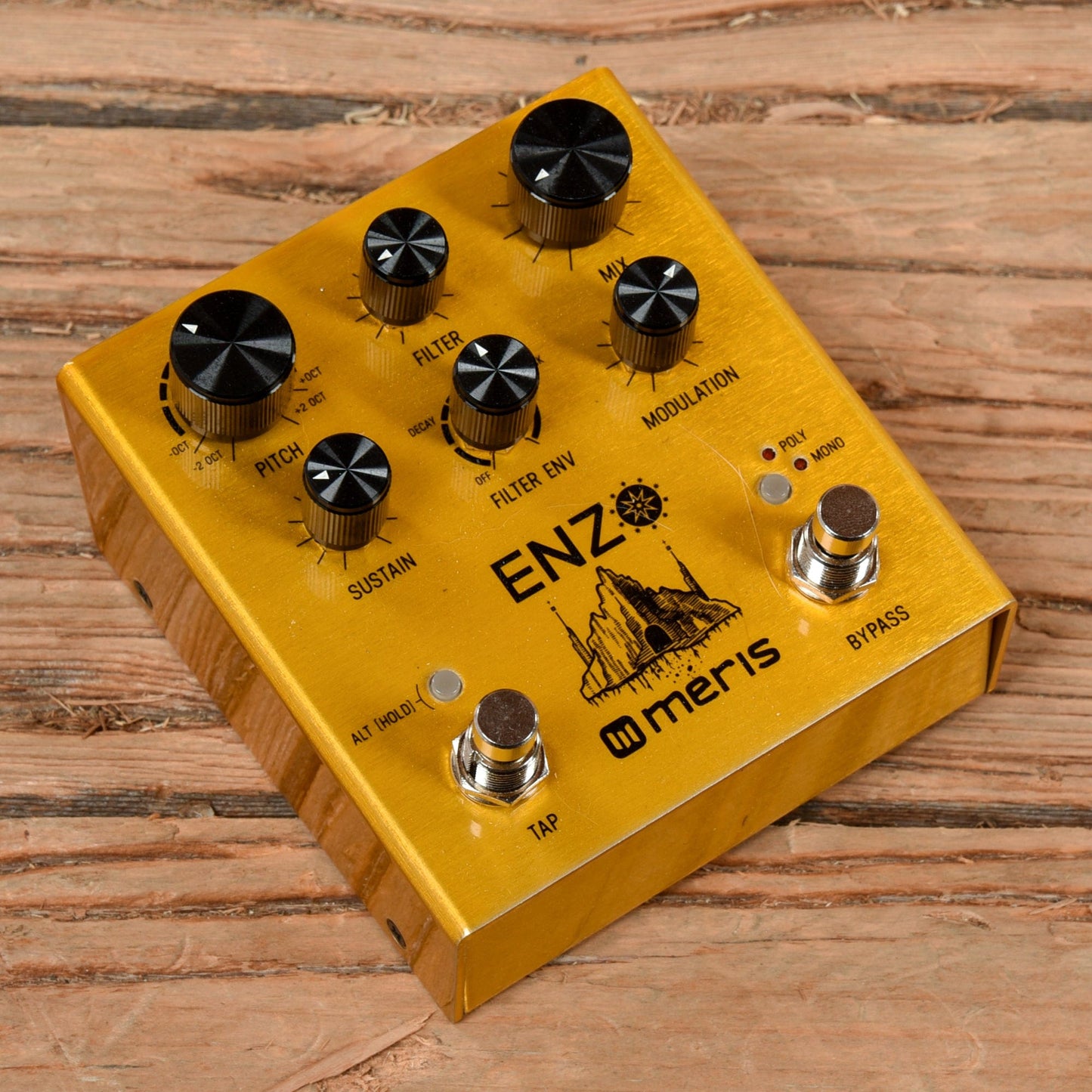Meris Enzo Effects and Pedals / Guitar Synths