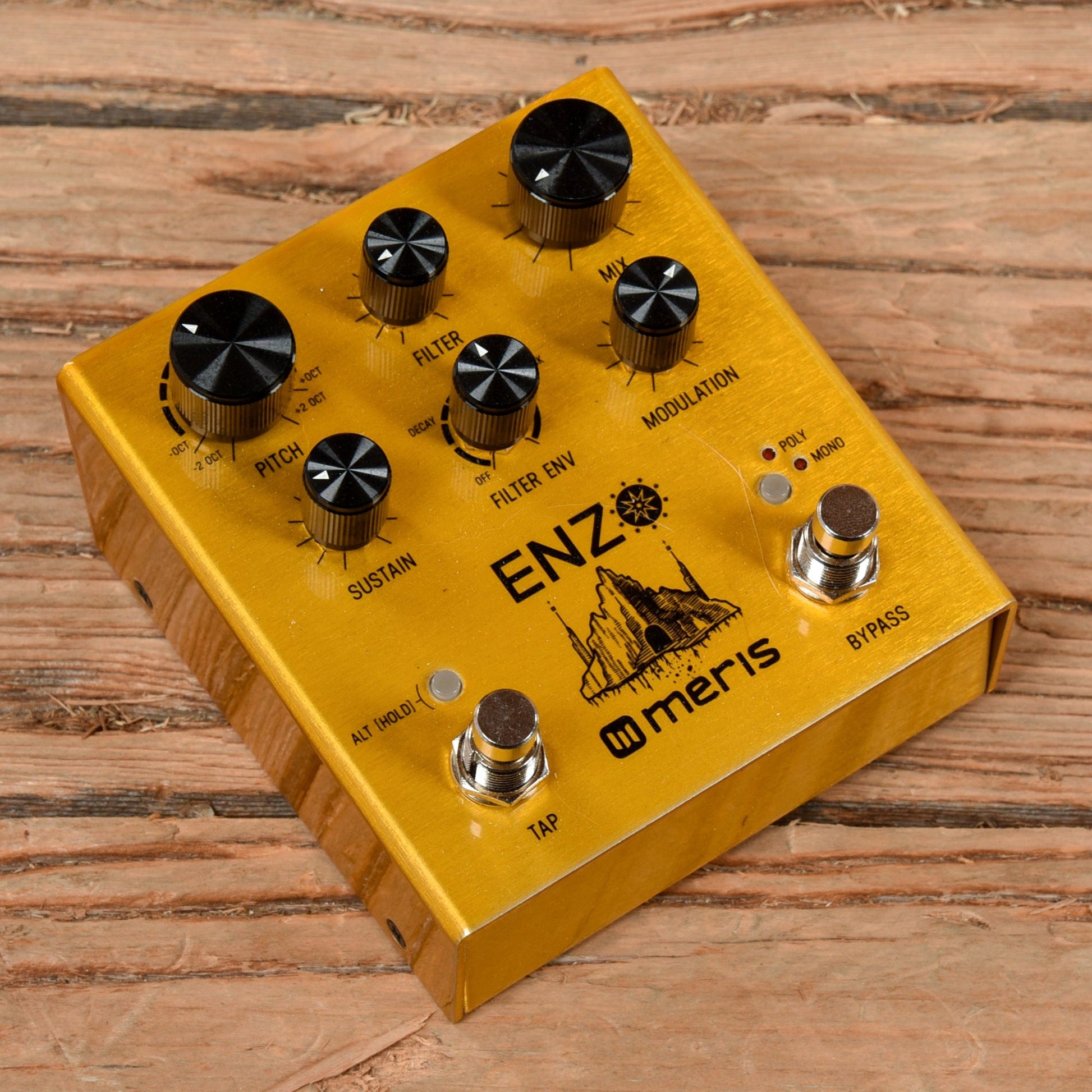 Meris Enzo Effects and Pedals / Guitar Synths