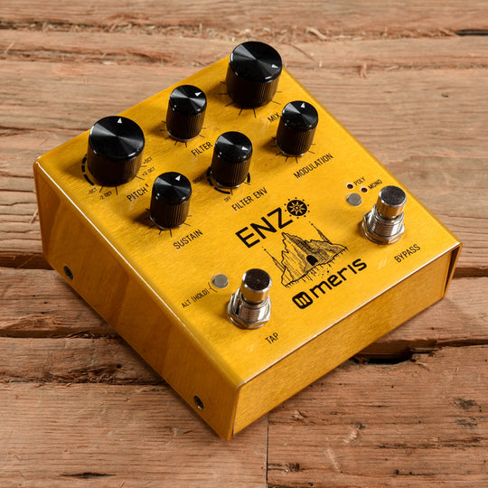 Meris Enzo Effects and Pedals / Multi-Effect Unit