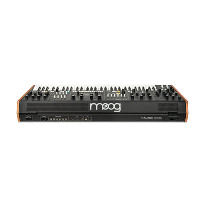 Moog Muse 8-Voice Polyphonic Analog Synthesizer Synthesizers