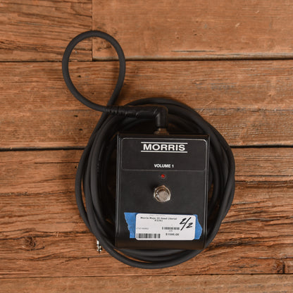 Morris Mojo 35 Head Amps / Guitar Amps / Guitar Cabinets