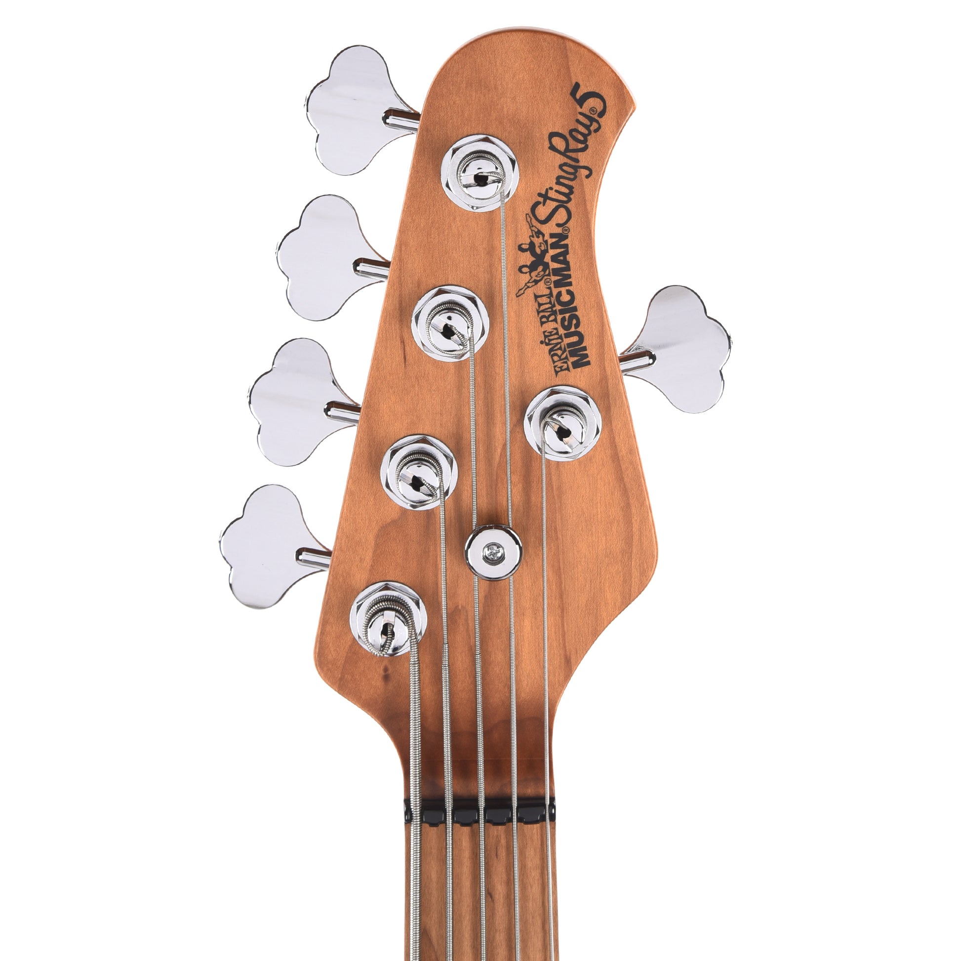Music Man StingRay Special 5 HH Translucent Oxblood w/ Roasted Maple Neck Bass Guitars / 4-String