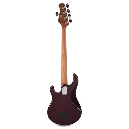 Music Man StingRay Special 5 HH Translucent Oxblood w/ Roasted Maple Neck Bass Guitars / 4-String