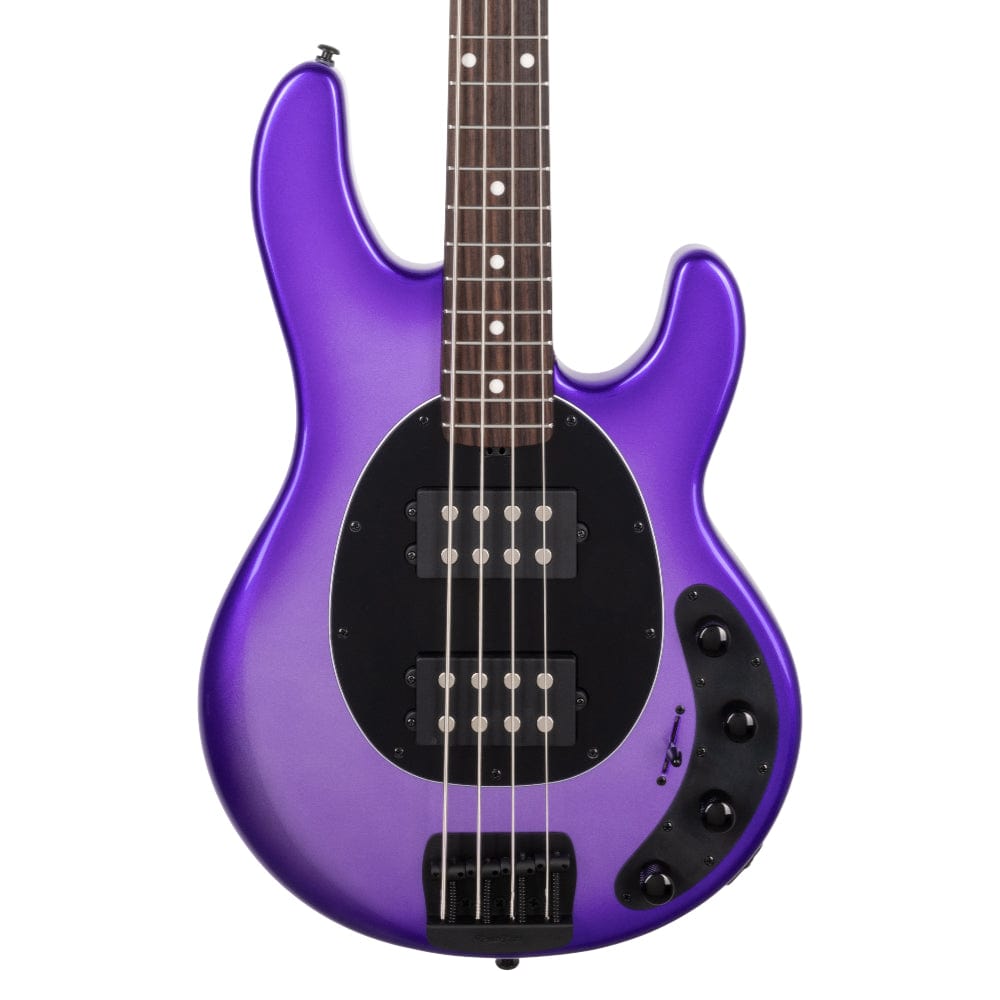 Music Man StingRay Special HH Grape Crush w/Roasted Maple Neck Bass Guitars / 4-String