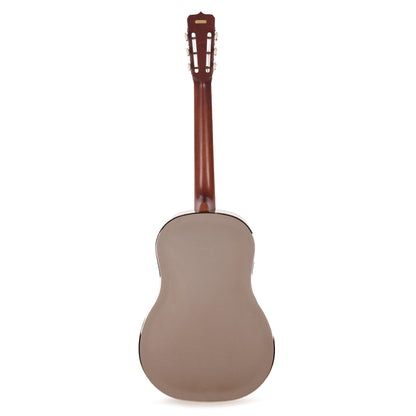 National Style 1 Tricone Brass Bright Nickel 12-Fret Acoustic Guitars