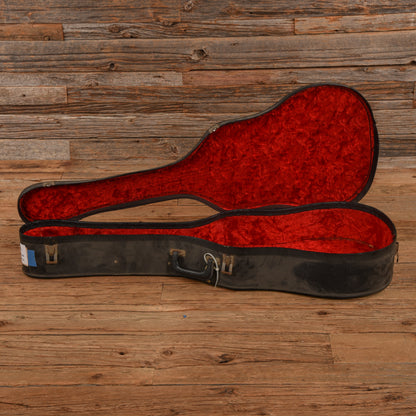 National Triolian Polychrome 1929 Acoustic Guitars / Resonator