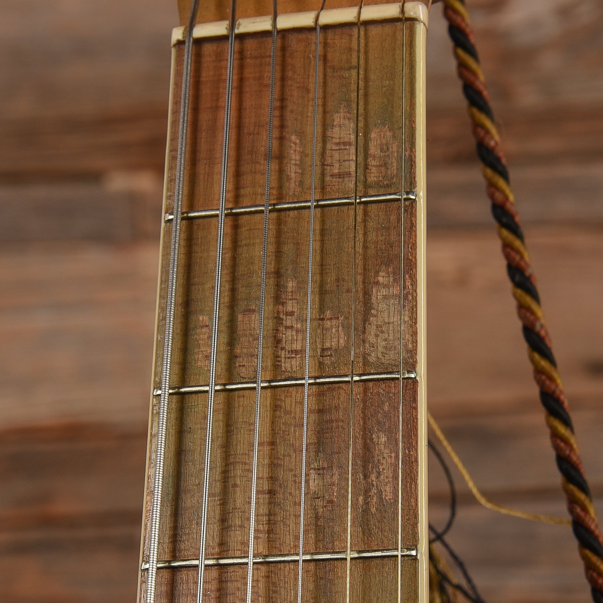National Triolian Polychrome 1929 Acoustic Guitars / Resonator
