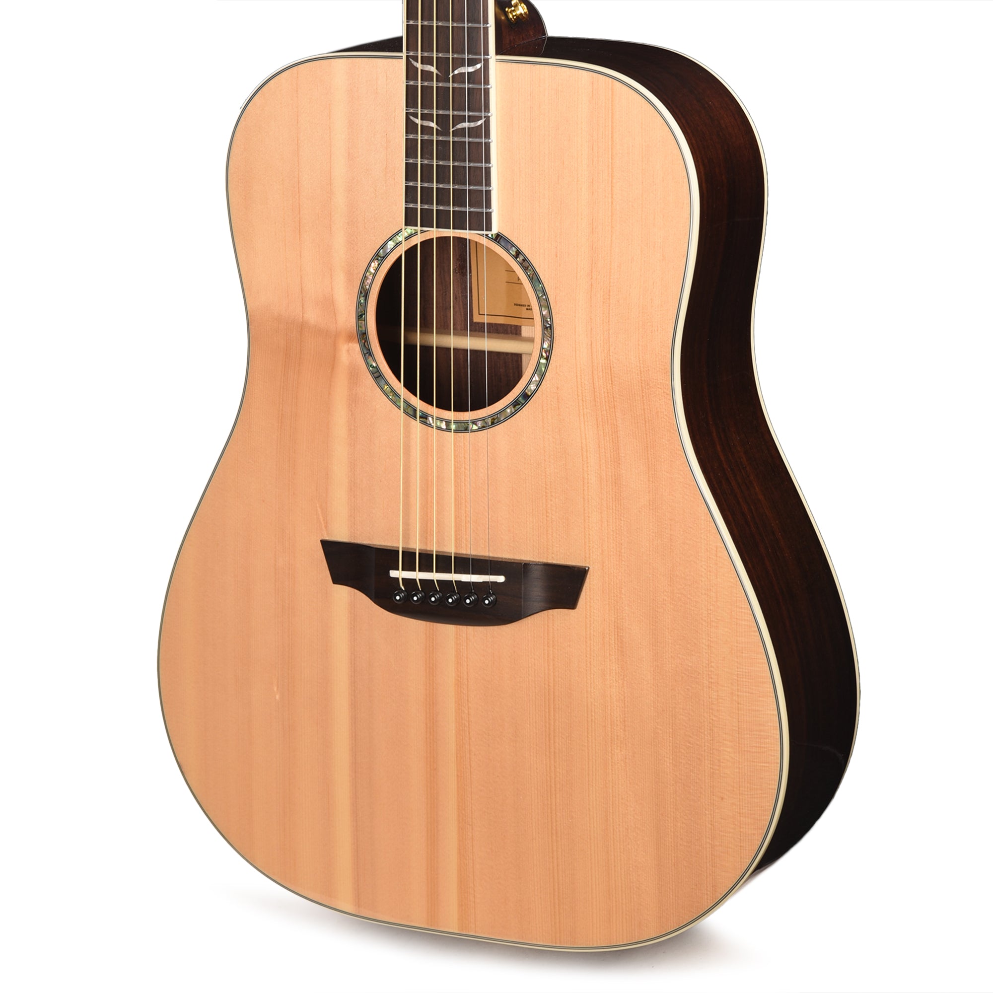 Orangewood Echo Dreadnought Acoustic Guitar Acoustic Guitars / OM and Auditorium