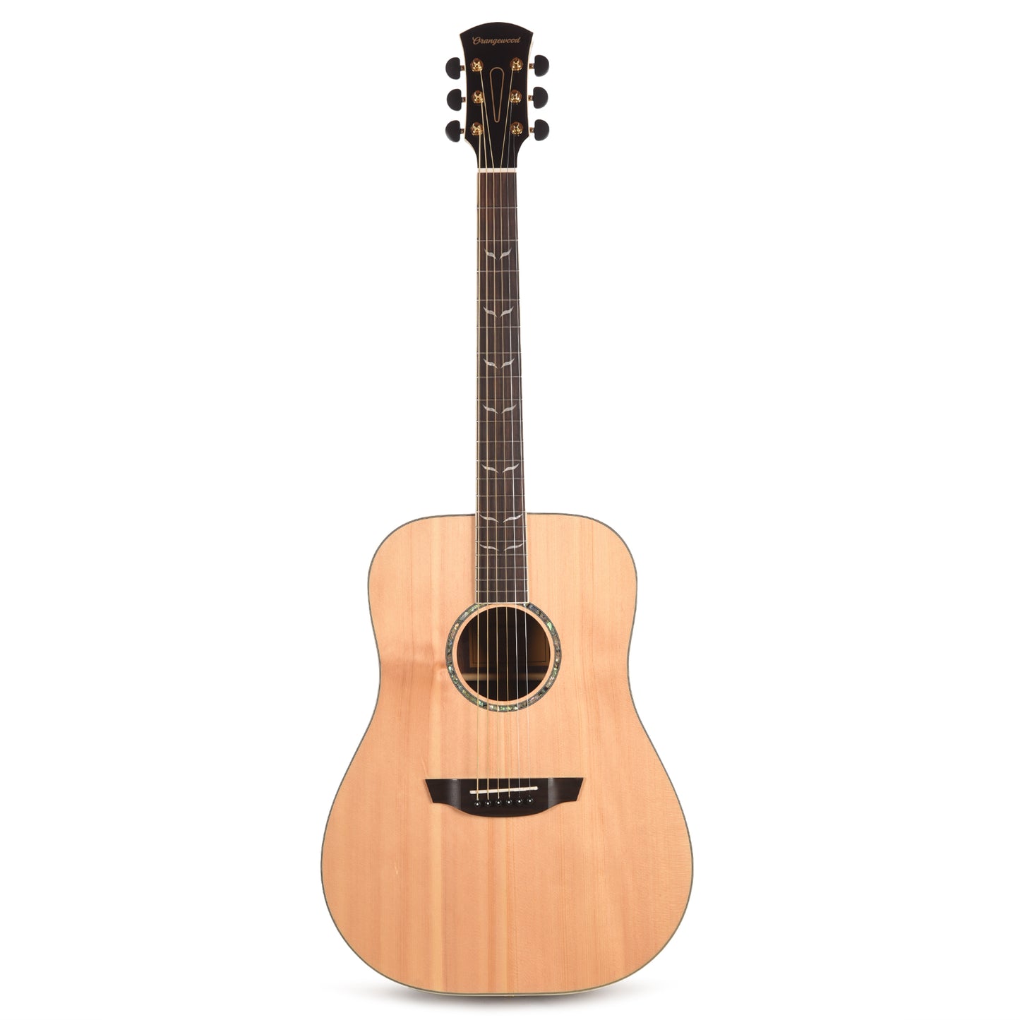 Orangewood Echo Dreadnought Acoustic Guitar Acoustic Guitars / OM and Auditorium