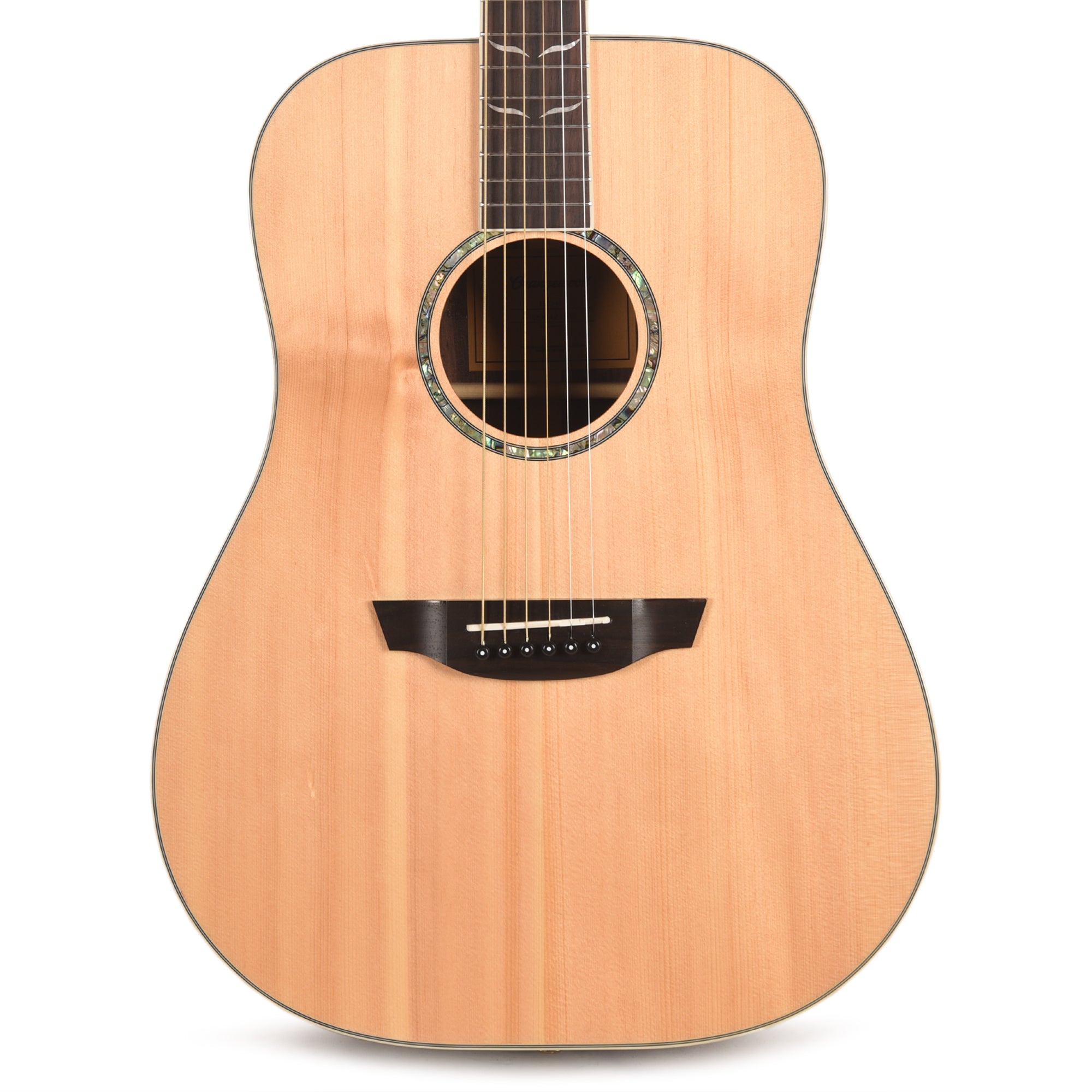 Orangewood Echo Dreadnought Acoustic Guitar Acoustic Guitars / OM and Auditorium
