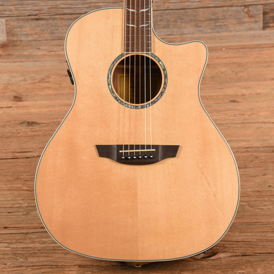 Orangewood Mason Live Natural Acoustic Guitars / OM and Auditorium