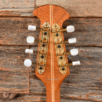 Ovation MM68AX Sunburst Folk Instruments / Mandolins