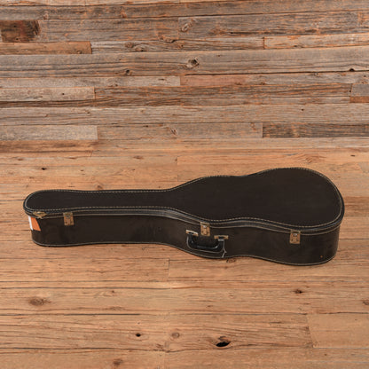 Pan Guitars P-23 Walnut 1970s Electric Guitars / Semi-Hollow