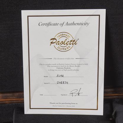 Paoletti Alpha Loft Sunburst Electric Guitars / Semi-Hollow